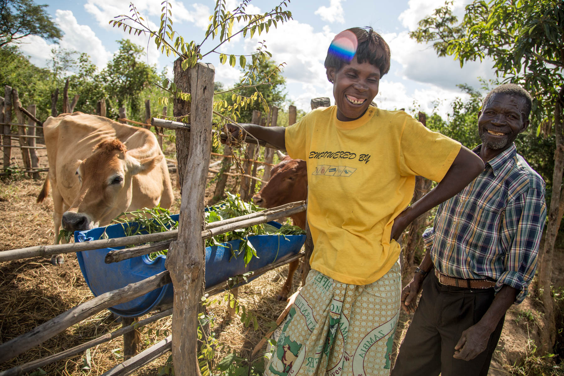 Family in Zambia poses with their cows.