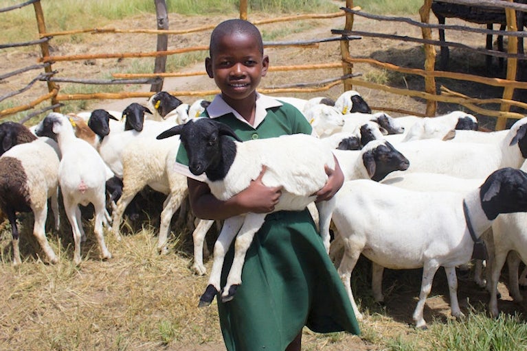 A person standing outdoors in a grassy field holds a baby goat near a fence.