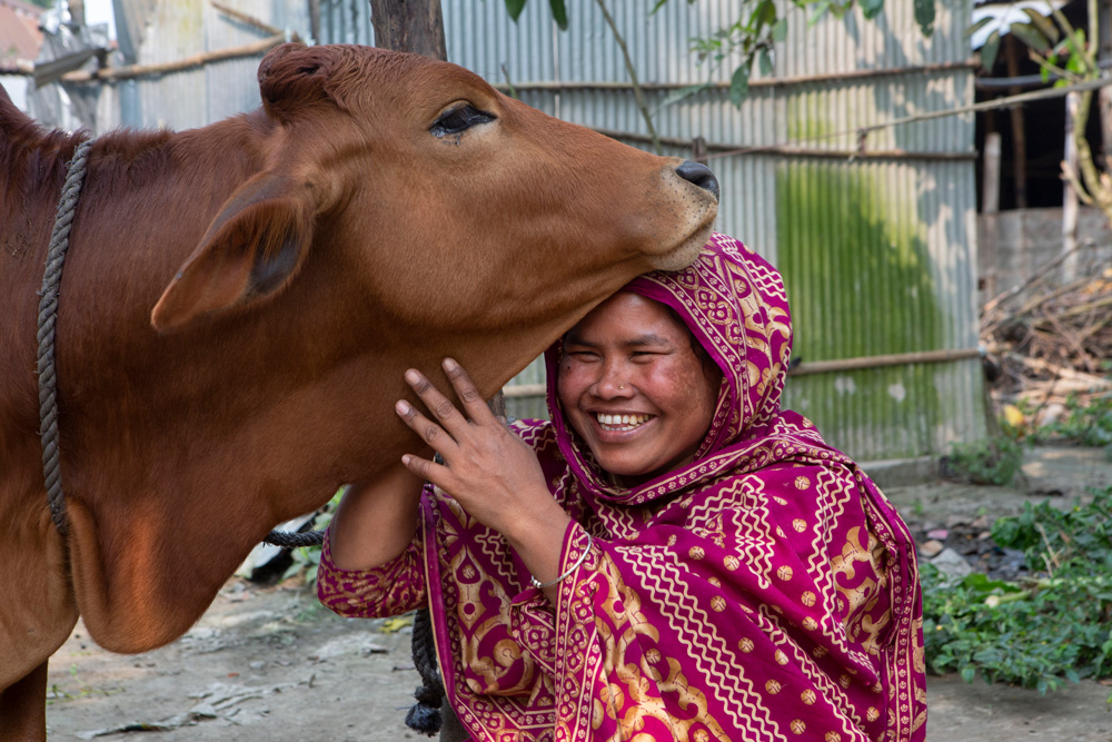Ayesha stands next to a cow.