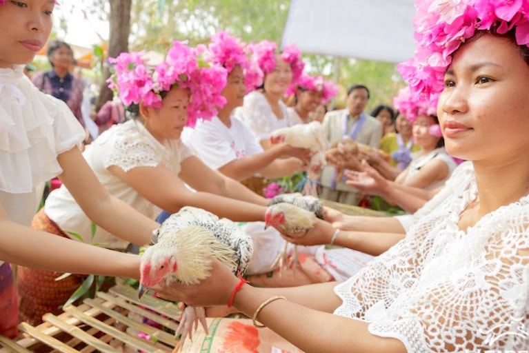 Women on either side of a long wooden table passing chickens down the line. They are wearing pink ceremony head bands.