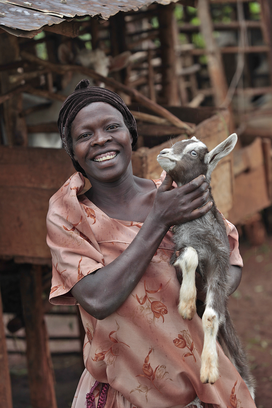 africa_goat
