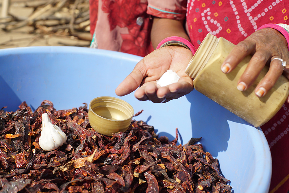 Dried Mathania chilis, garlic and salt. Dried Mathania chilis, garlic and salt.