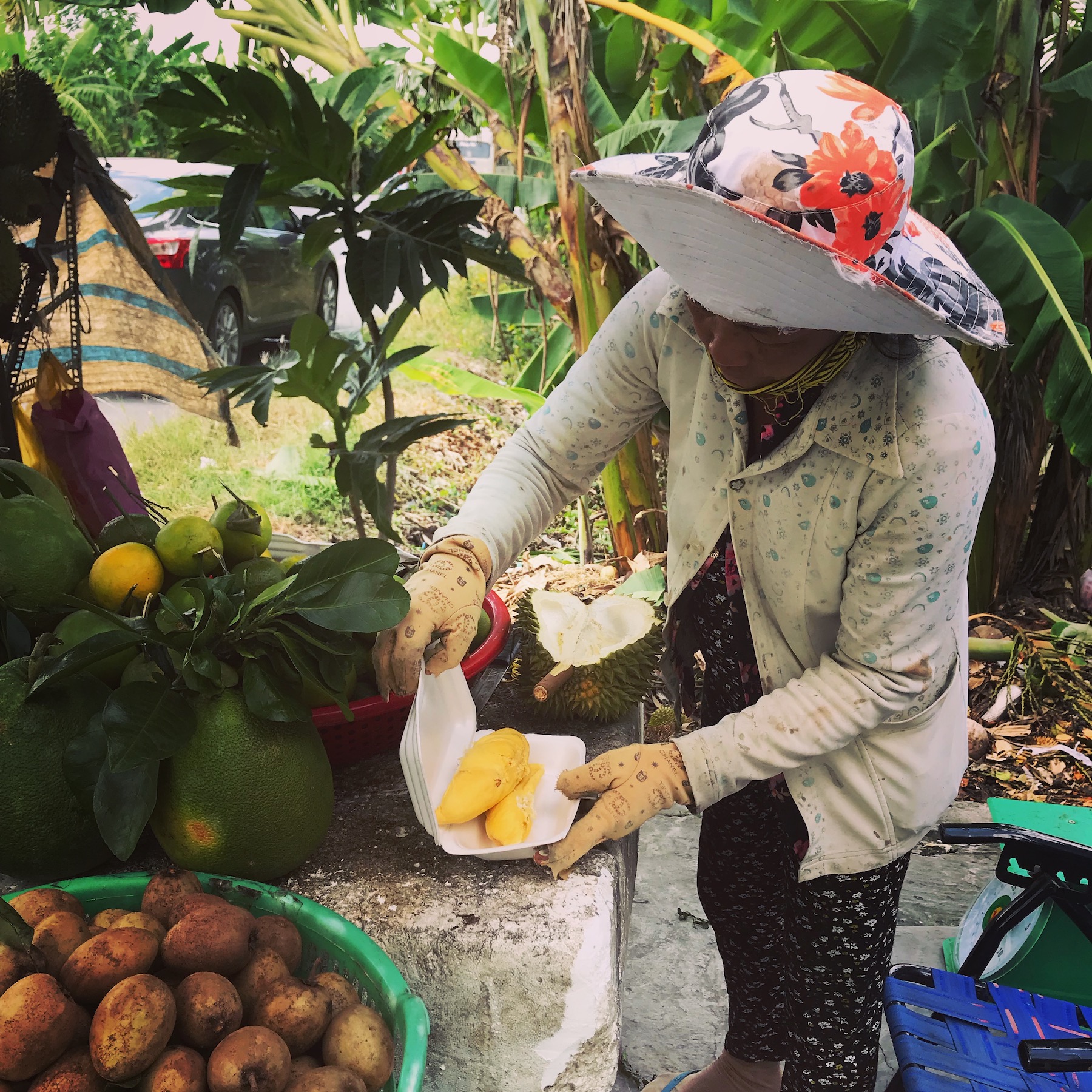It takes skill to cleanly extricate the fruit from the pod.