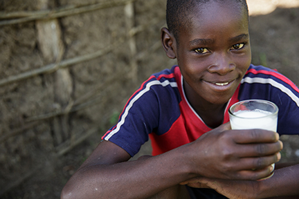 dairy development