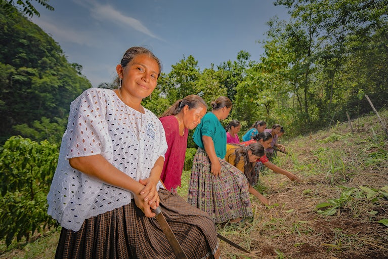 Women from Heifer's Green Business Belt Signature Program in Guatemala work the land.