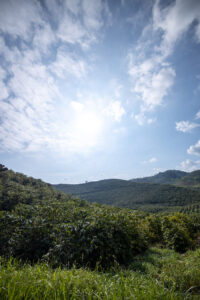 Coffee farmers like Guli Siwale in Tanzania often struggle to reach a living income. 