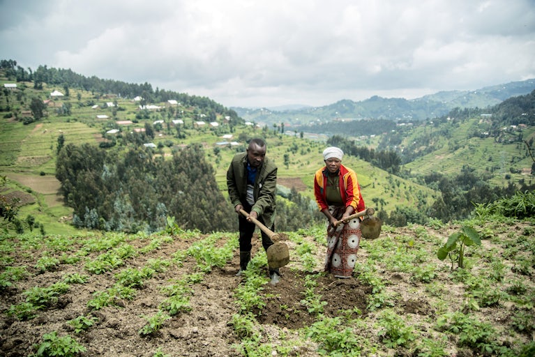 Farmers working in a field.