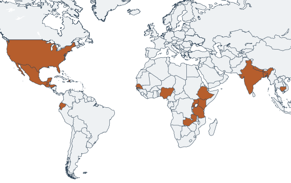 Illustration of a global map with orange sections highlighting where Heifer works.