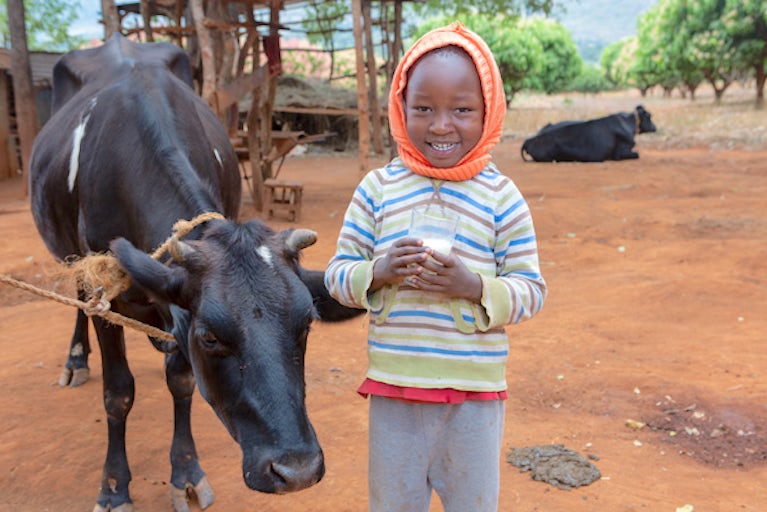 Kid and cow.