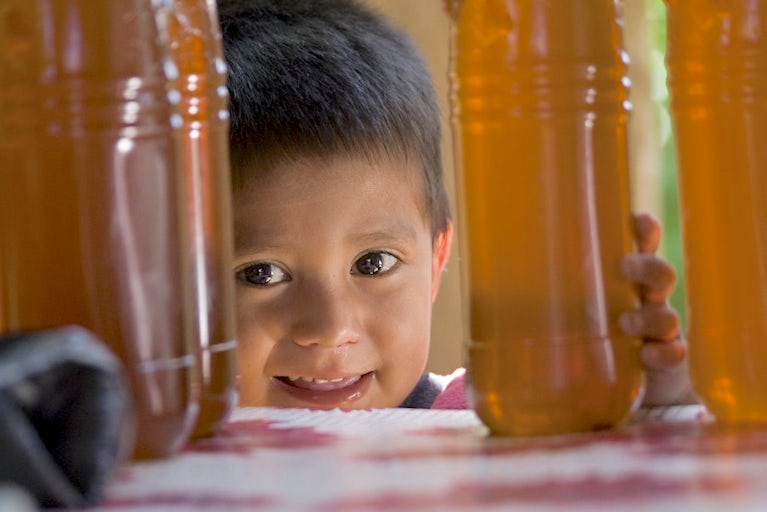 Kid looking through multiple bottles of honey sitting on a table.