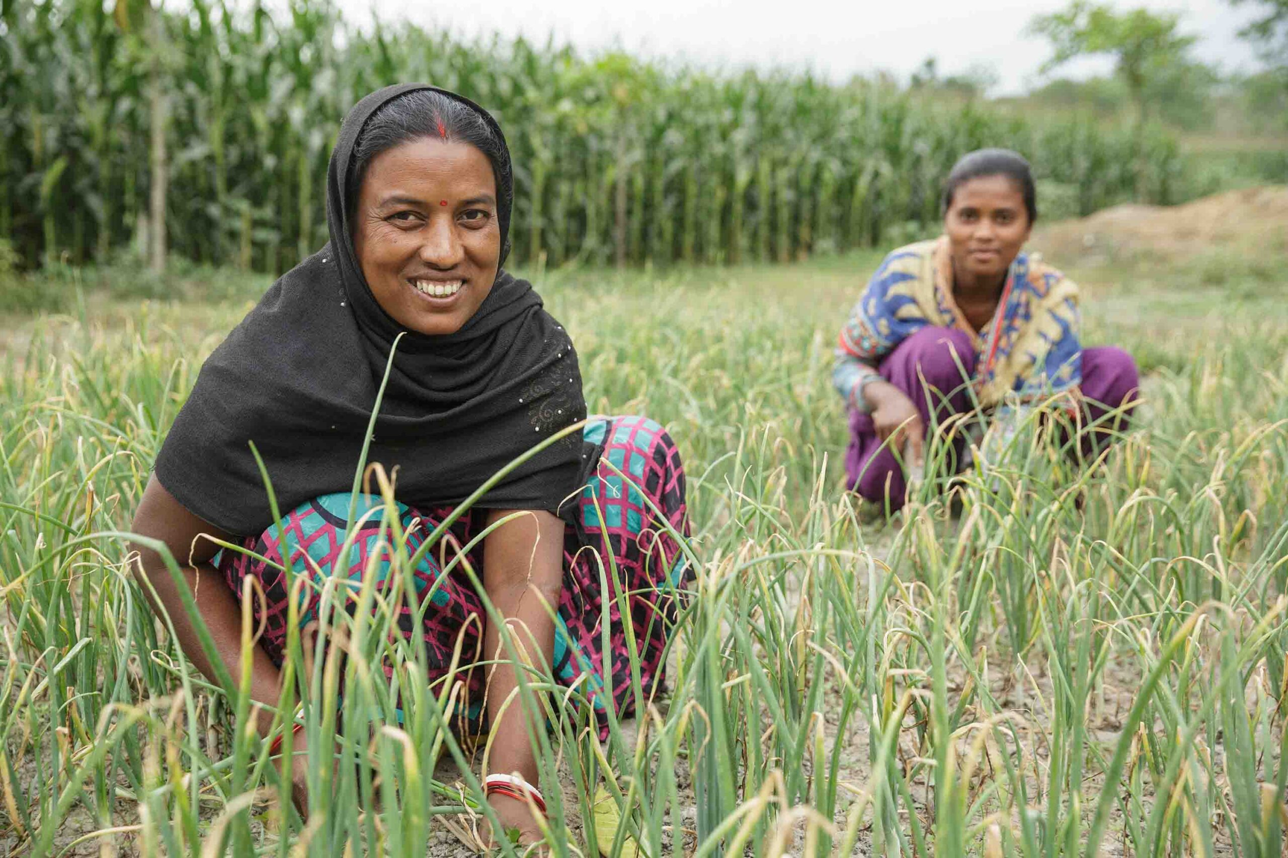 Lakshmi Kisku and her daughter Rashmi work in their onion patch together. Lakshmi Kisku and her daughter Rashmi work in their onion patch together.
