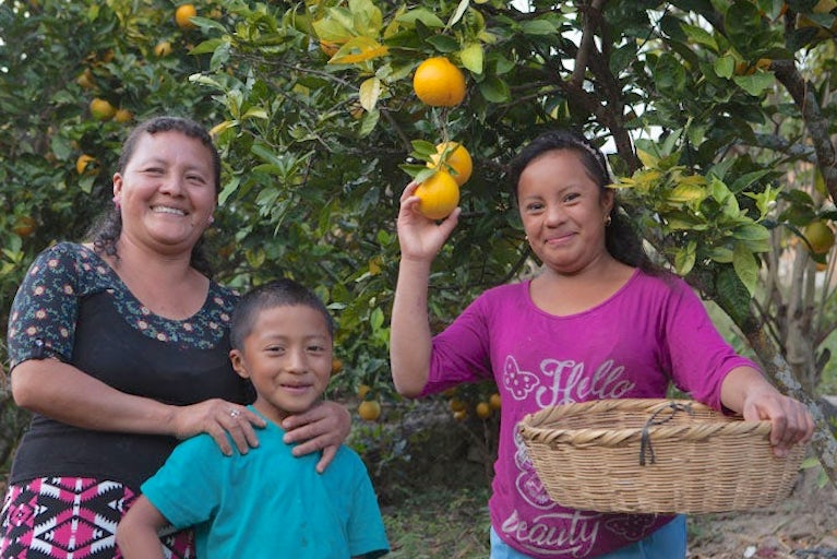 Family standing in an orange orchard smiling.