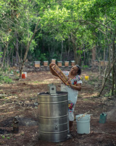Mirna Chan Col tends to her beehives in Chuchub, Yucatán, México. 