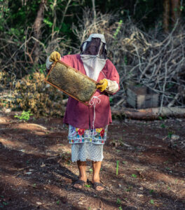 Mirna Chan Col tends to her beehives in Chuchub, Yucatán, México. 