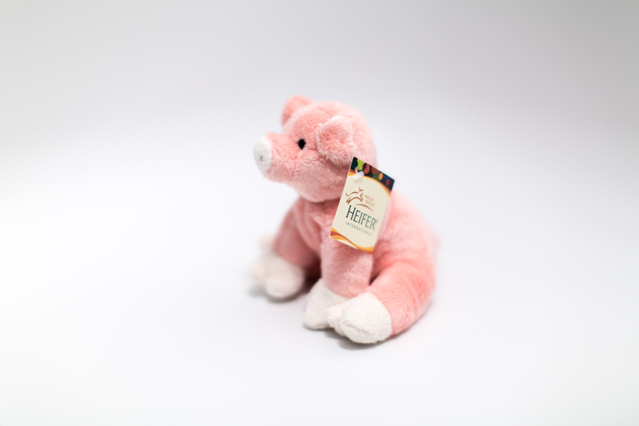 Plush pig toy on a white table.