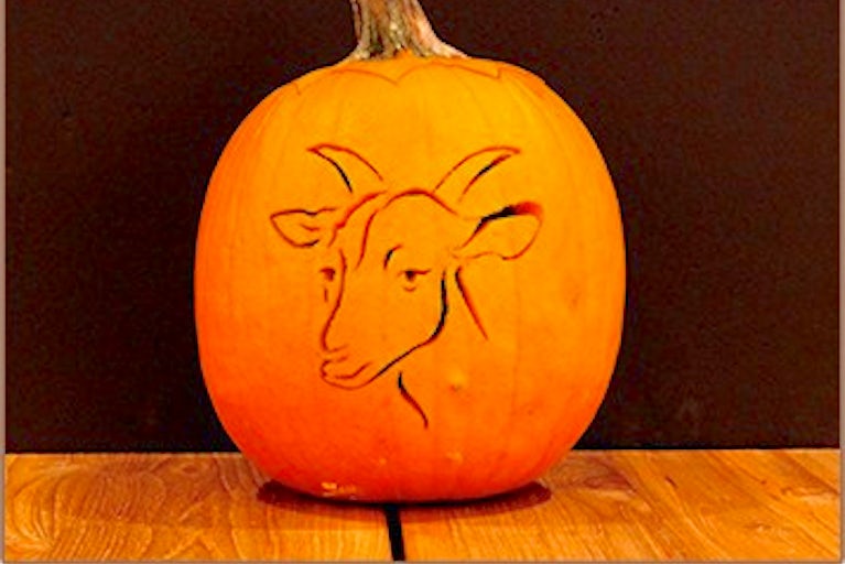 pumpkin carved with goat face.