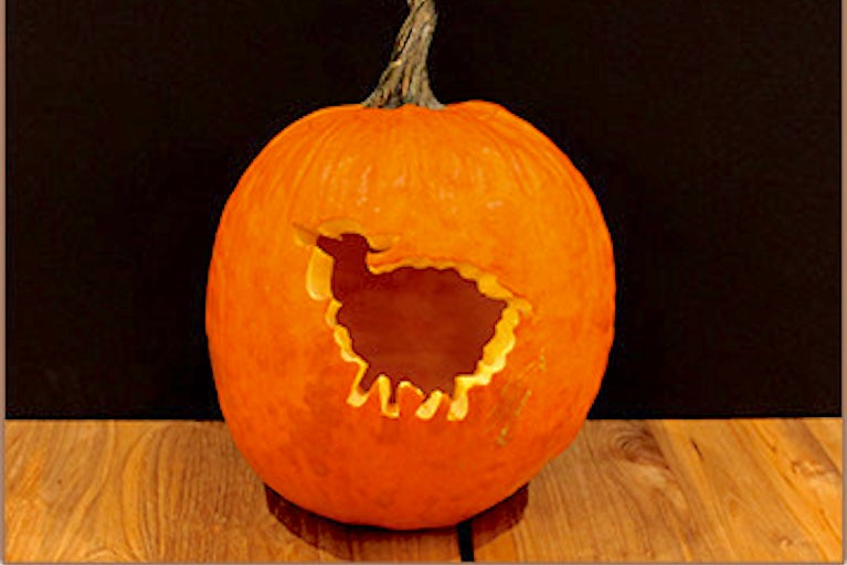 pumpkin carved like a sheep.