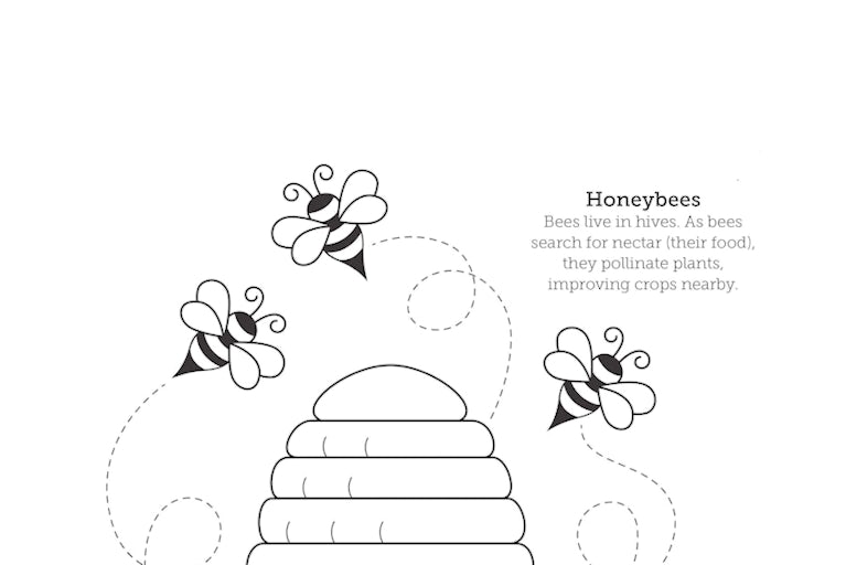 A coloring page.