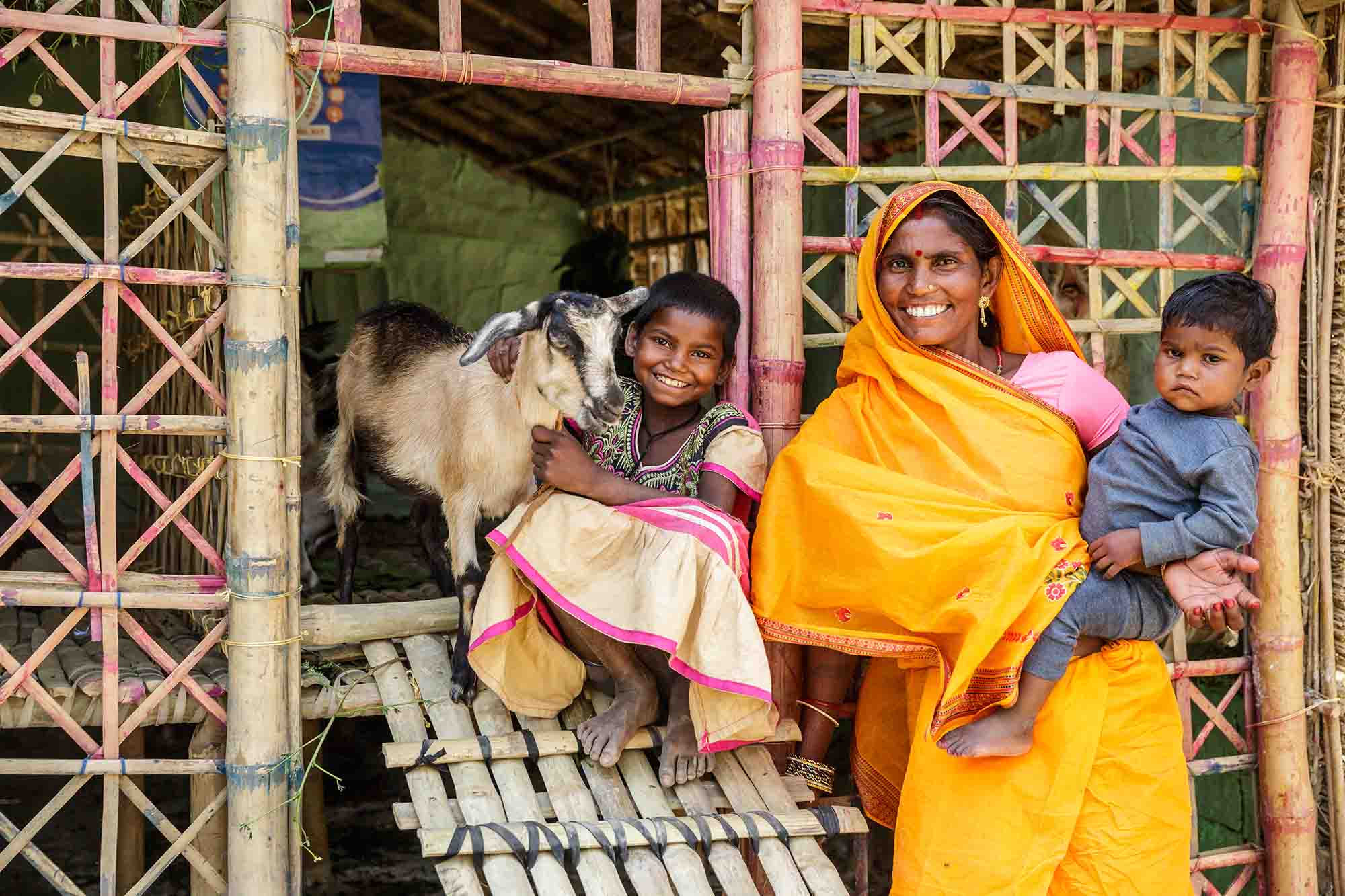 Sharada Devi, 48, and her daughters Nirmal Kumar, 8, and Manisha Kumar, 2, next to their family's goat pen. Sharada Devi, 48, and her daughters Nirmal Kumar, 8, and Manisha Kumar, 2, next to their family's goat pen.