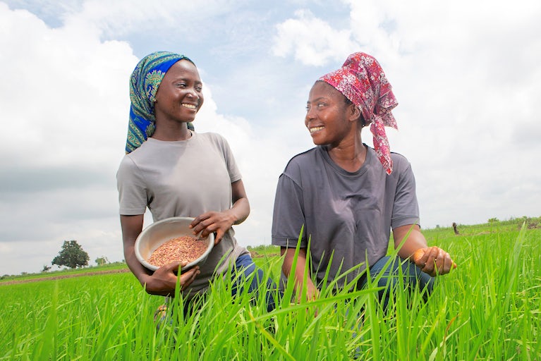 Felicia Gbuuka (right) and her daughter work on their rice field in Nigeria.