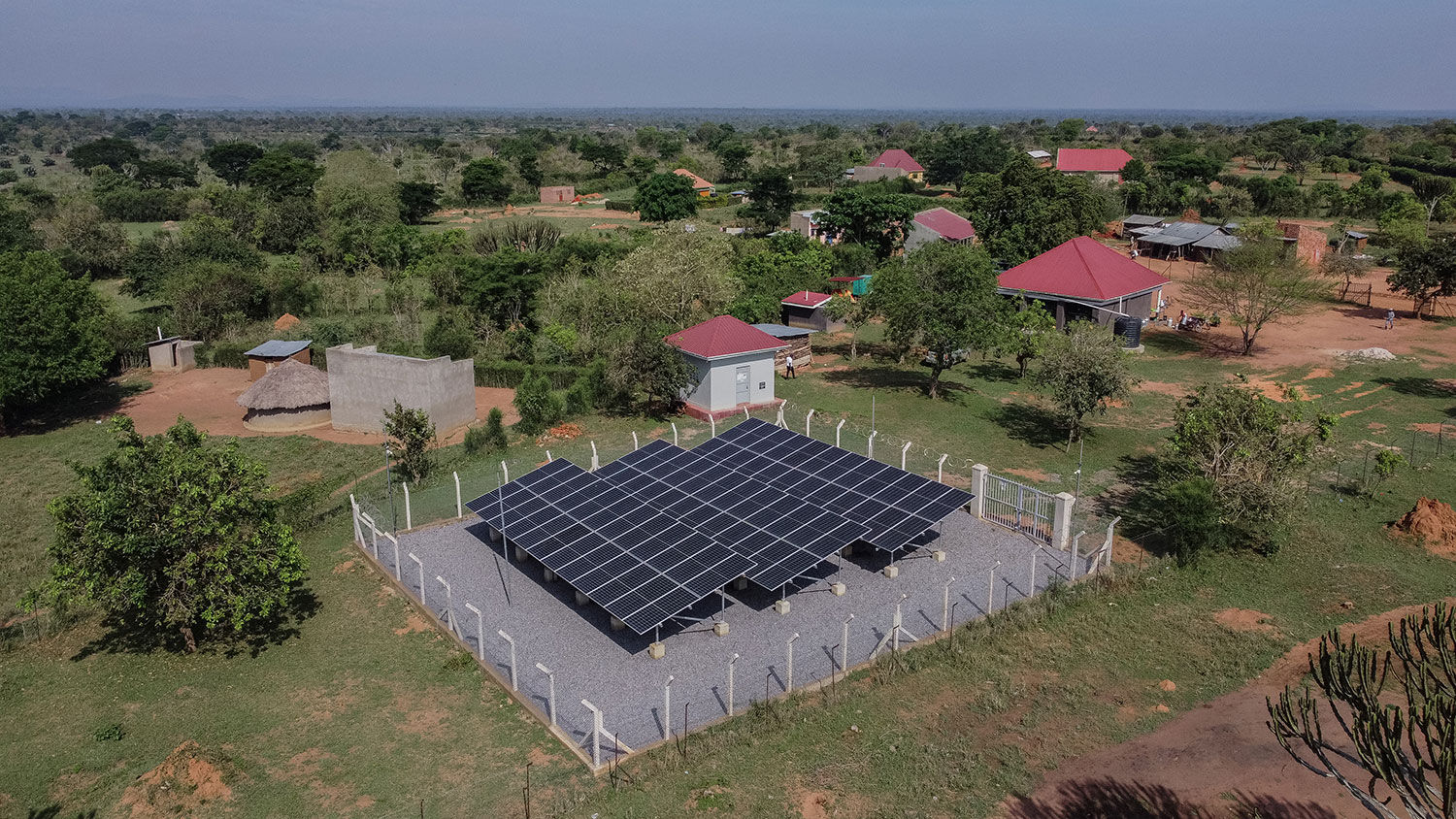 Large group of solar panels