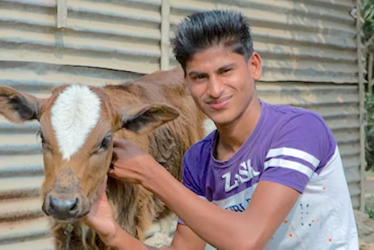 Teen with a calf.