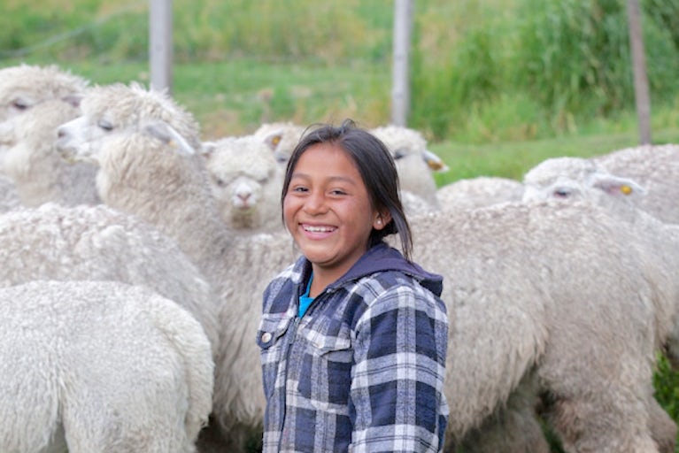 Teen girl standing next to a flock of sheep.