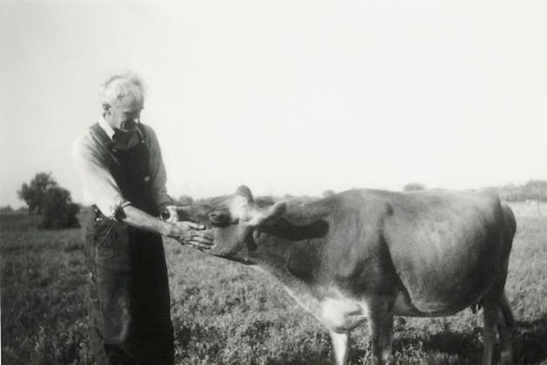 Historical photo of Dan West with a cow.
