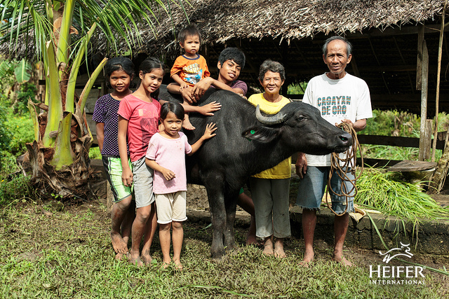 Vistacion and her husband Paquito, along with their grand children, take a photo with the family water buffalo.