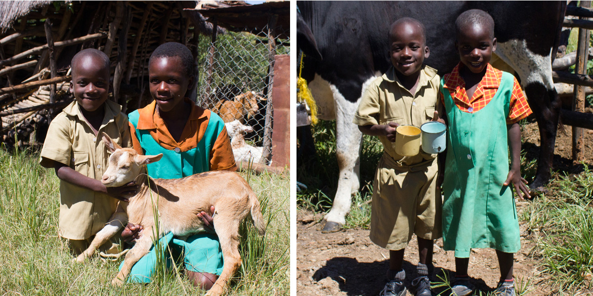 (Left) Definite and Tendai hold one of the young goats, more of the family’s goats and their goat pen can been seen in the background. (Right) Twins Divine and Definite hold cups of milk with one of the family’s cows.