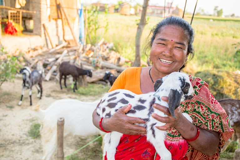 A woman holds a goat.